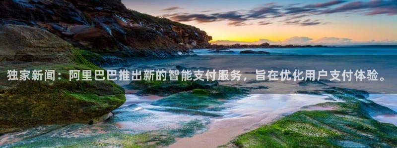 独家新闻：阿里巴巴推出新的智能支付服务，旨在优化用户支付体验。