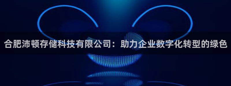 合肥沛顿存储科技有限公司：助力企业数字化转型的绿色