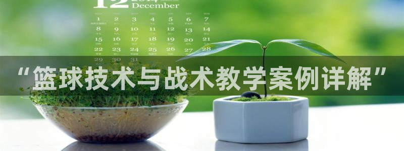 “篮球技术与战术教学案例详解”