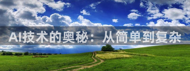 AI技术的奥秘：从简单到复杂