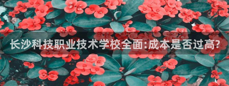 长沙科技职业技术学校全面:成本是否过高?