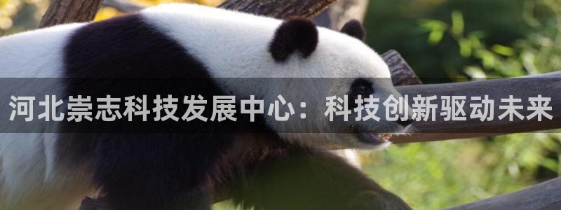 河北崇志科技发展中心：科技创新驱动未来