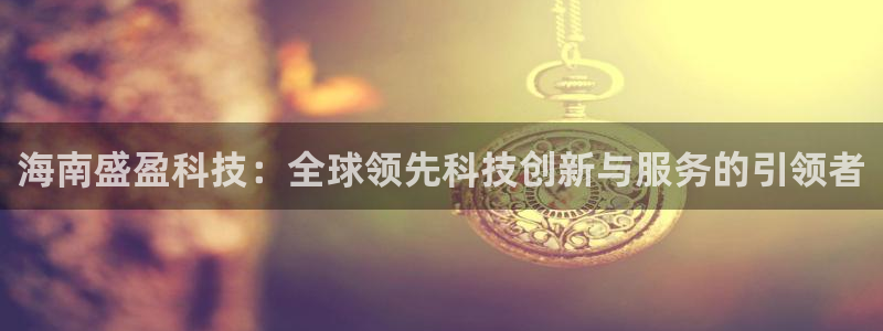 海南盛盈科技：全球领先科技创新与服务的引领者