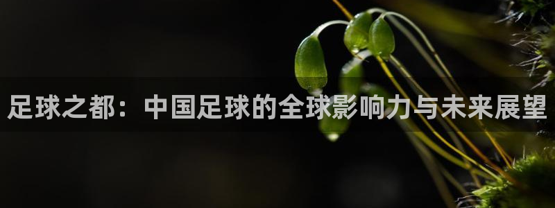 足球之都：中国足球的全球影响力与未来展望