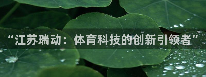 “江苏瑞动：体育科技的创新引领者”